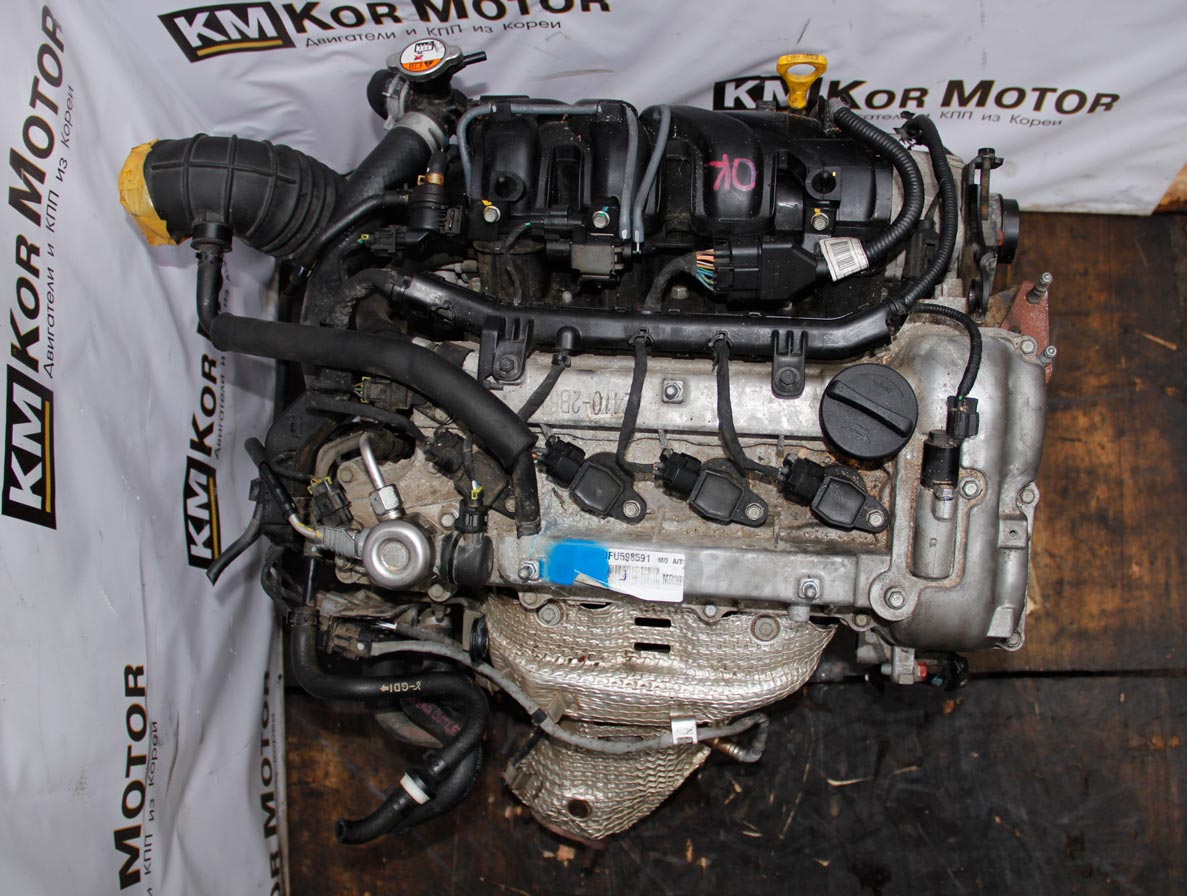 Двигатель G4FD 1.6 Kia Sportage, Ceed, Soul. Продажа контрактных ДВС Киа Спортиж, Сид, Соул